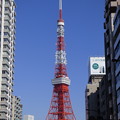Photos: 再び「主役」は東京タワー