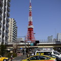 青空にそびえる東京タワーを背景に…
