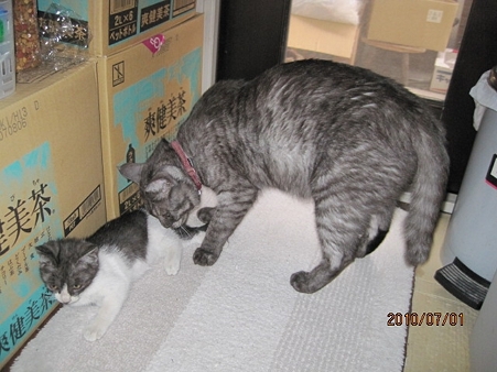 IMG_8495jl