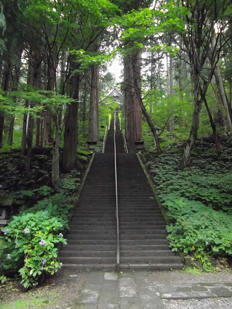 戸隠神社 宝光社 参道階段 写真共有サイト フォト蔵