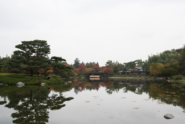 【昭和記念公園：日本庭園の清池軒】1