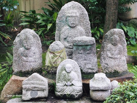 法観寺2014年07月21日_P7210123