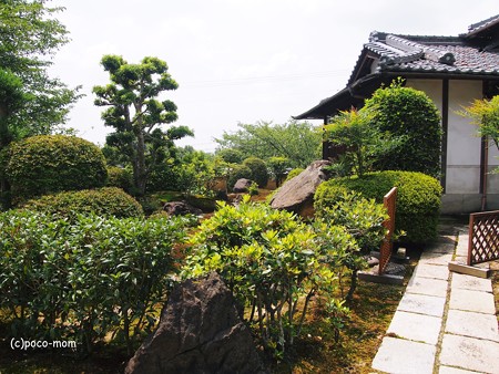 宝菩提院願徳寺2014年07月21日_P7210080