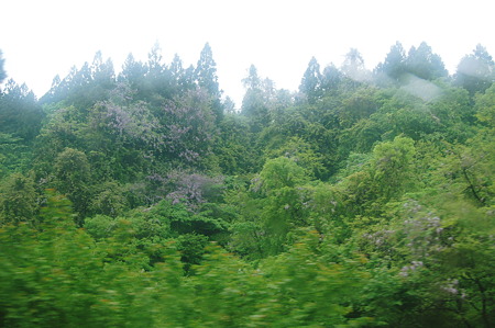 2010年05月23日_DSC_1931