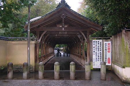 2010年10月31日_DSC_0168