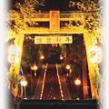 Photos: 布川神社 大晦日の竹灯篭