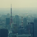 Photos: 東京タワー