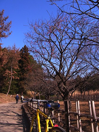 こども自然公園