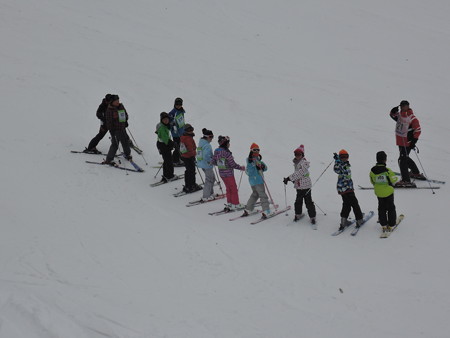 DSCN0426