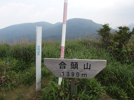 P6290365