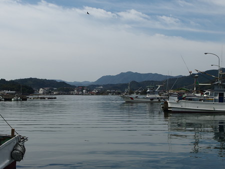 PA290564