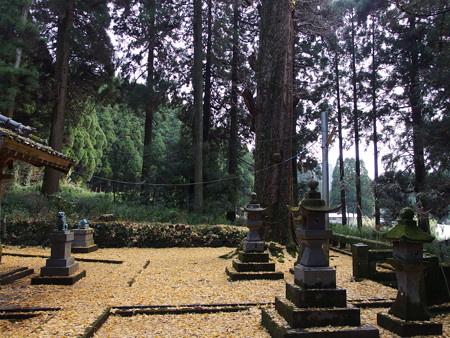 PC011482