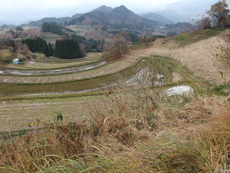 PC011444
