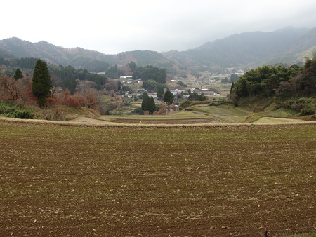 PC011454