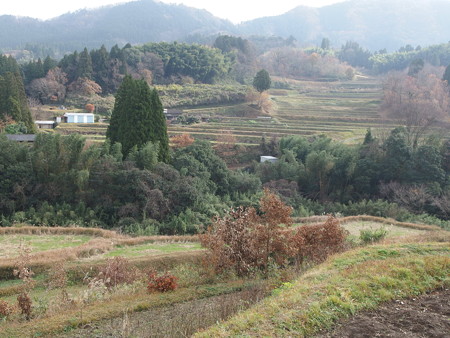 PC011459