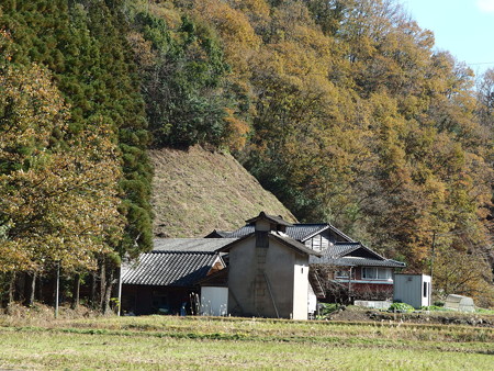 PC021546