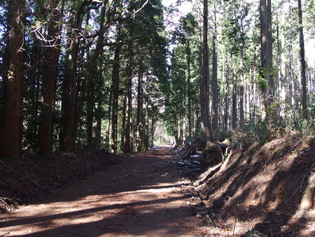 PC141652