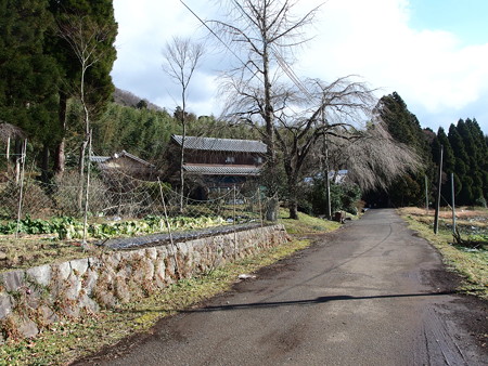 PC141663