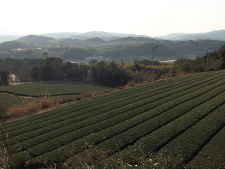 P1112273