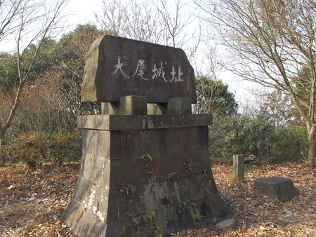 P1112281 - コピー