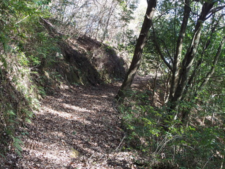 P1182315