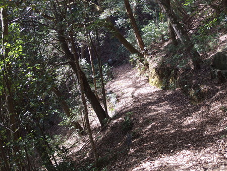 P1182318