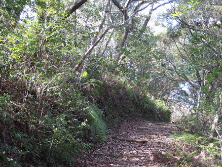 P1182324