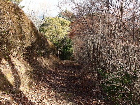P1182335