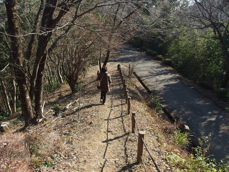 P1182369