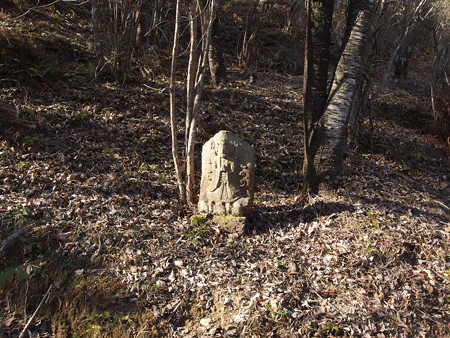P1182382