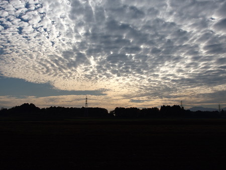 P1182444