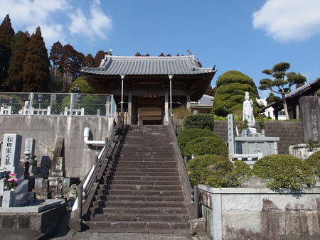 P2062616