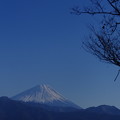 甲府市より眺めし富士山