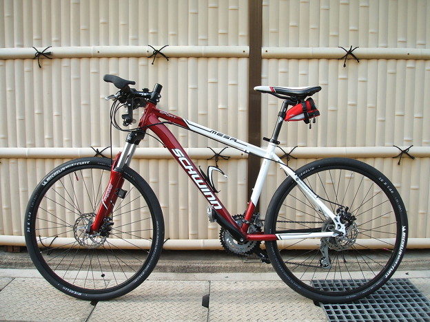 schwinn mesa sport