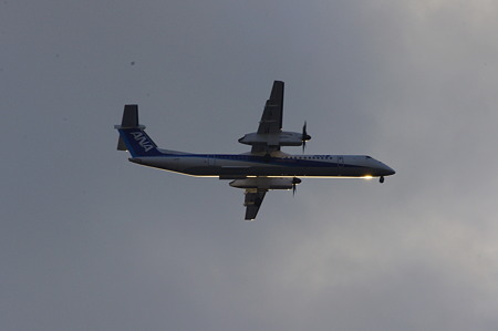 IMGP6845