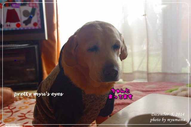 写真: s-002