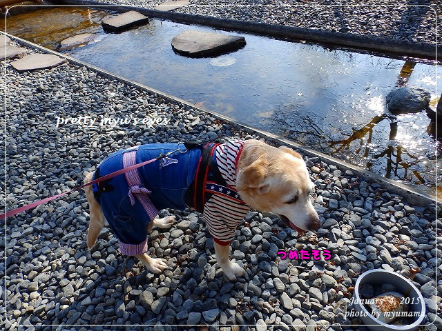 写真: s-140