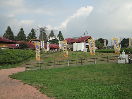 DSC05560