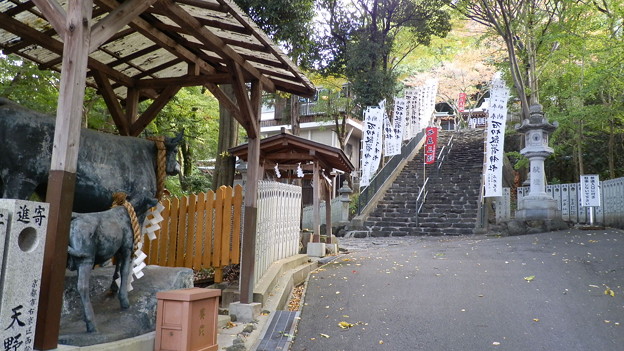 PB038739