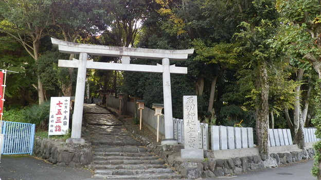 PB038737