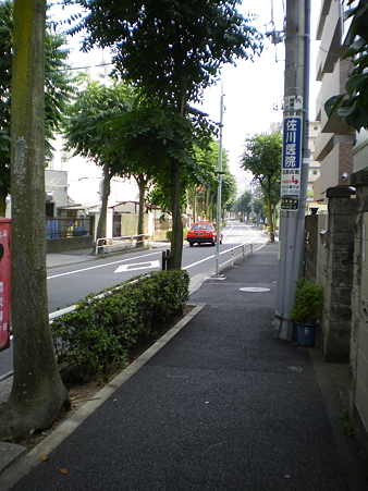 IMGP1685