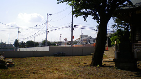 IMGP5543