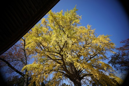 DSC09800