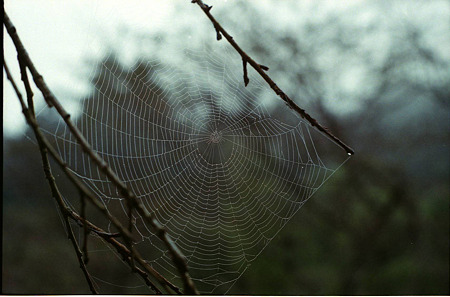 Image1339(minolta SRT101)