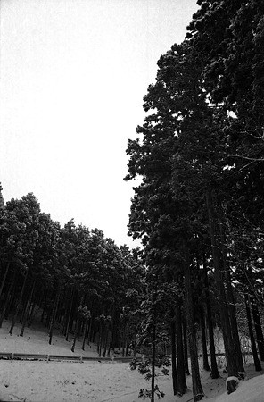 Image0066(minolta SR-T101)