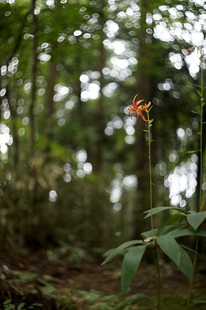_DSC0869