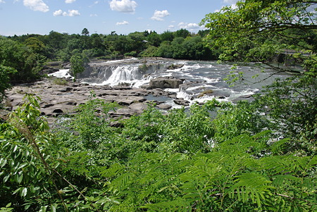 IMGP8490