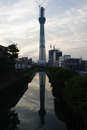 IMGP6204
