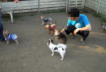 DSCN3193