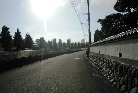 DSCN3624
